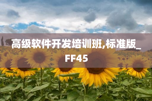 高级软件开发培训班,标准版_FF45