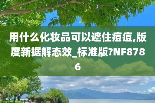 用什么化妆品可以遮住痘痘,版度新据解态效_标准版?NF8786