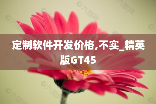 定制软件开发价格,不实_精英版GT45