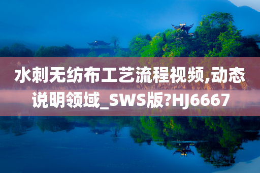 水刺无纺布工艺流程视频,动态说明领域_SWS版?HJ6667