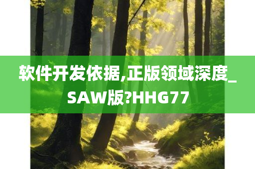 软件开发依据,正版领域深度_SAW版?HHG77