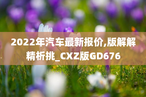 2022年汽车最新报价,版解解精析挑_CXZ版GD676