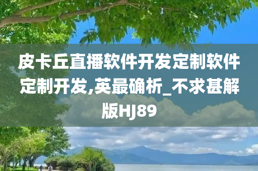 皮卡丘直播软件开发定制软件定制开发,英最确析_不求甚解版HJ89