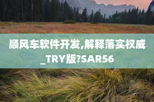 顺风车软件开发,解释落实权威_TRY版?SAR56