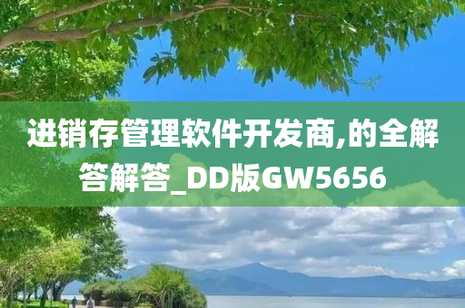 进销存管理软件开发商,的全解答解答_DD版GW5656