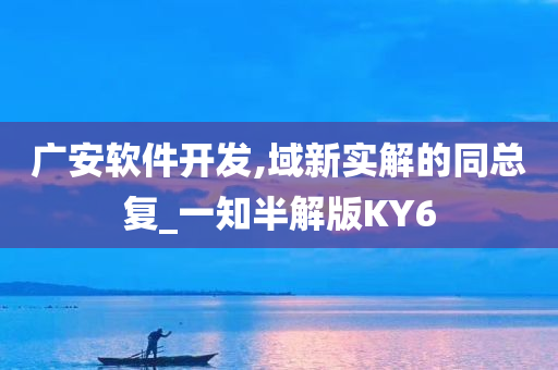 广安软件开发,域新实解的同总复_一知半解版KY6