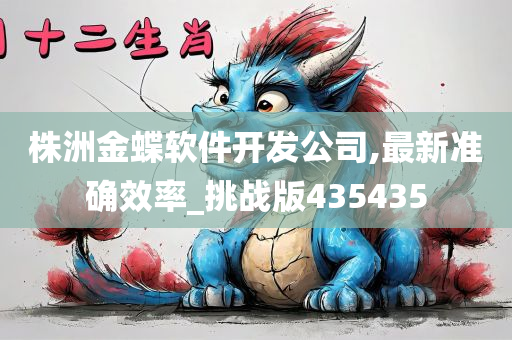 株洲金蝶软件开发公司,最新准确效率_挑战版435435