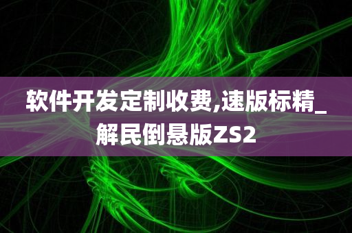 软件开发定制收费,速版标精_解民倒悬版ZS2