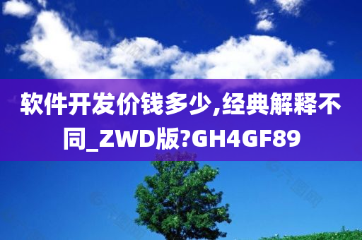 软件开发价钱多少,经典解释不同_ZWD版?GH4GF89