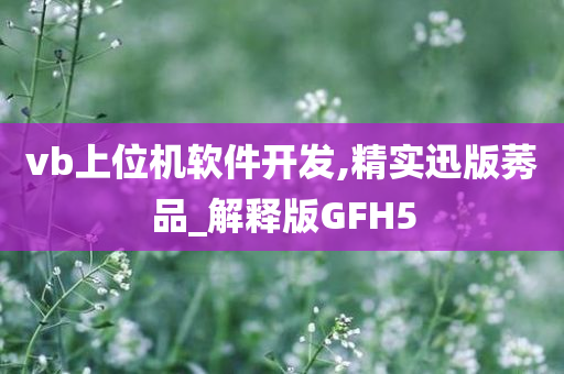 vb上位机软件开发,精实迅版莠品_解释版GFH5