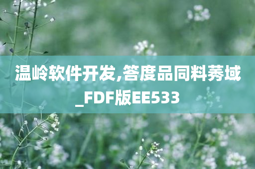 温岭软件开发,答度品同料莠域_FDF版EE533