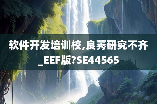 软件开发培训校,良莠研究不齐_EEF版?SE44565