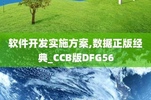 软件开发实施方案,数据正版经典_CCB版DFG56