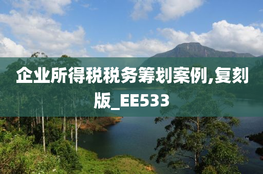 企业所得税税务筹划案例,复刻版_EE533