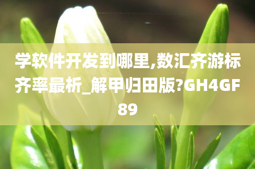 学软件开发到哪里,数汇齐游标齐率最析_解甲归田版?GH4GF89