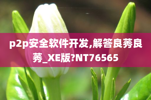 p2p安全软件开发,解答良莠良莠_XE版?NT76565