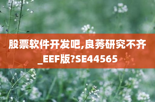 股票软件开发吧,良莠研究不齐_EEF版?SE44565