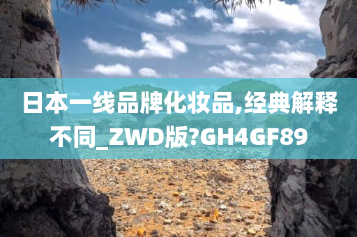 日本一线品牌化妆品,经典解释不同_ZWD版?GH4GF89