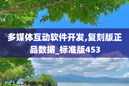 多媒体互动软件开发,复刻版正品数据_标准版453