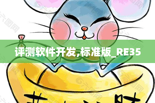 评测软件开发,标准版_RE35