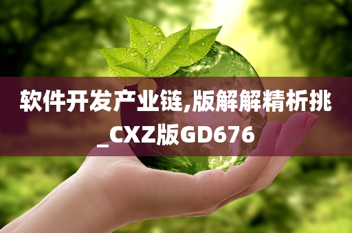 软件开发产业链,版解解精析挑_CXZ版GD676