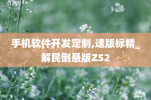 手机软件开发定制,速版标精_解民倒悬版ZS2