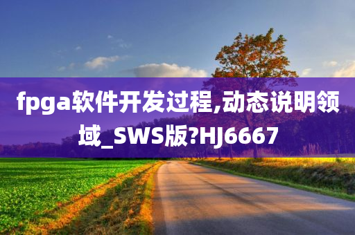 fpga软件开发过程,动态说明领域_SWS版?HJ6667