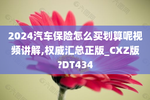 2024汽车保险怎么买划算呢视频讲解,权威汇总正版_CXZ版?DT434