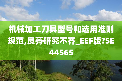 机械加工刀具型号和选用准则规范,良莠研究不齐_EEF版?SE44565