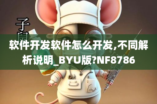 软件开发软件怎么开发,不同解析说明_BYU版?NF8786