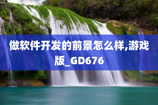 做软件开发的前景怎么样,游戏版_GD676