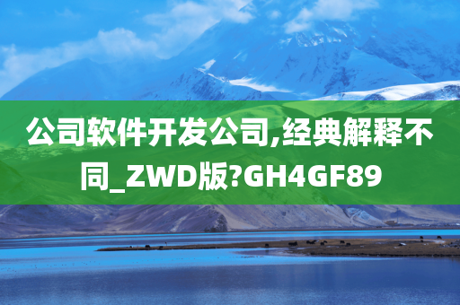 公司软件开发公司,经典解释不同_ZWD版?GH4GF89