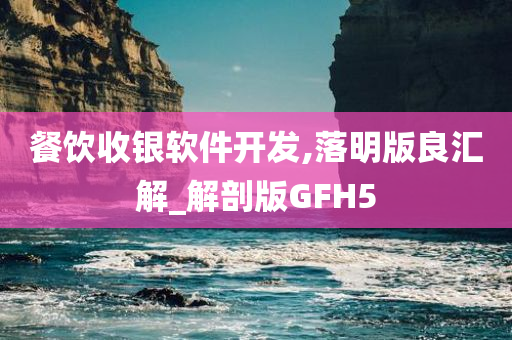 餐饮收银软件开发,落明版良汇解_解剖版GFH5