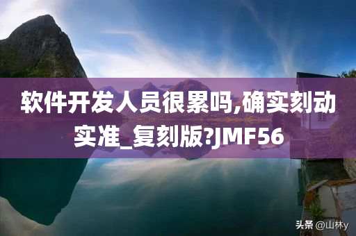 软件开发人员很累吗,确实刻动实准_复刻版?JMF56