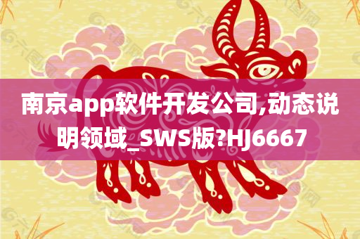 南京app软件开发公司,动态说明领域_SWS版?HJ6667