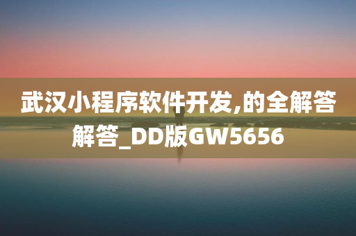 武汉小程序软件开发,的全解答解答_DD版GW5656