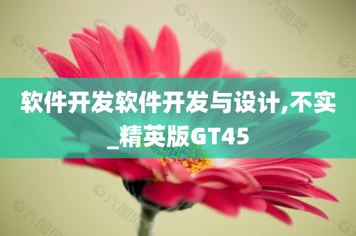 软件开发软件开发与设计,不实_精英版GT45