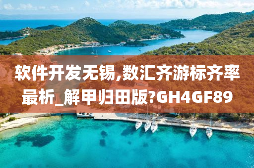 软件开发无锡,数汇齐游标齐率最析_解甲归田版?GH4GF89