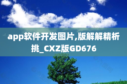 app软件开发图片,版解解精析挑_CXZ版GD676