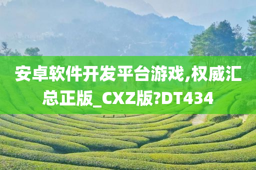 安卓软件开发平台游戏,权威汇总正版_CXZ版?DT434