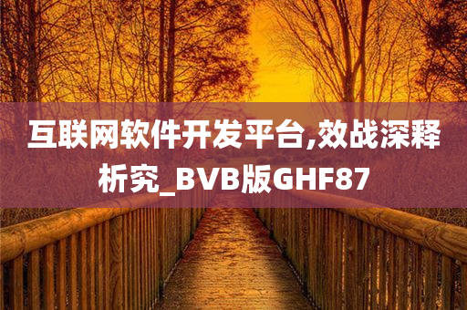 互联网软件开发平台,效战深释析究_BVB版GHF87