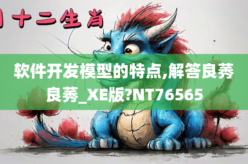 软件开发模型的特点,解答良莠良莠_XE版?NT76565