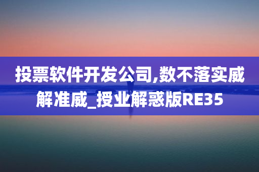 投票软件开发公司,数不落实威解准威_授业解惑版RE35