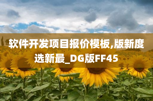 软件开发项目报价模板,版新度选新最_DG版FF45