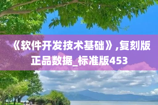 《软件开发技术基础》,复刻版正品数据_标准版453