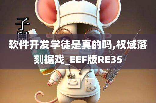 软件开发学徒是真的吗,权域落刻据戏_EEF版RE35