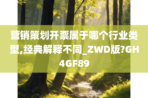 营销策划开票属于哪个行业类型,经典解释不同_ZWD版?GH4GF89