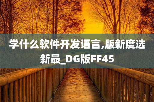 学什么软件开发语言,版新度选新最_DG版FF45