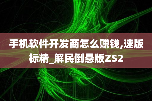 手机软件开发商怎么赚钱,速版标精_解民倒悬版ZS2