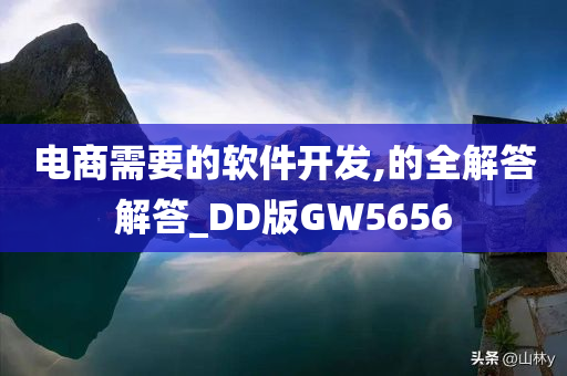 电商需要的软件开发,的全解答解答_DD版GW5656